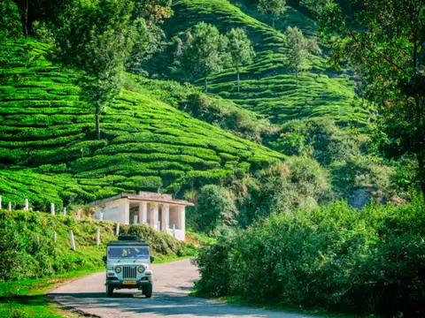 Munnar