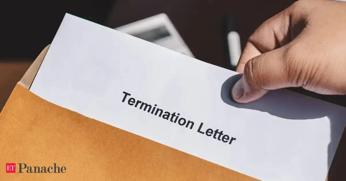 Employee traumatised by sudden firing gets the last laugh. Company comes running back 6 months after termination