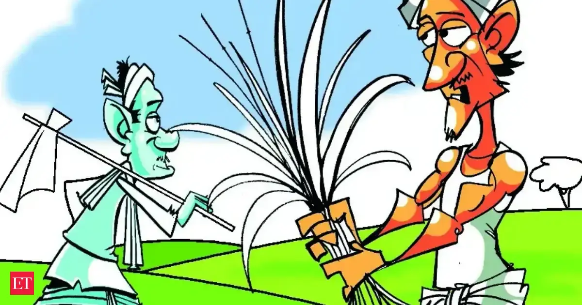 Kharif reset: Farmers may ditch paddy and maize for soybean, pulses amid monsoon fears?