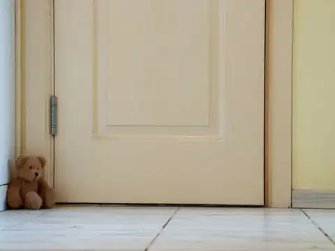 Door-Gap "Snake" Protector