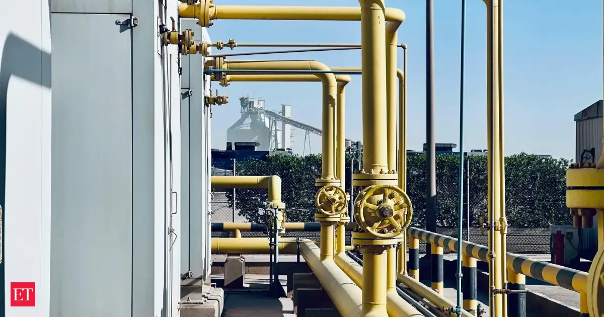 India working on subsea gas pipeline project: Oman route plan to help mitigate risks brought to fore by Ho