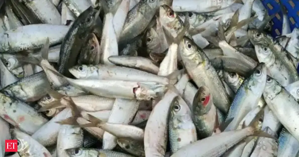 Govt to explore possibility of PLI scheme for seafood MSMEs