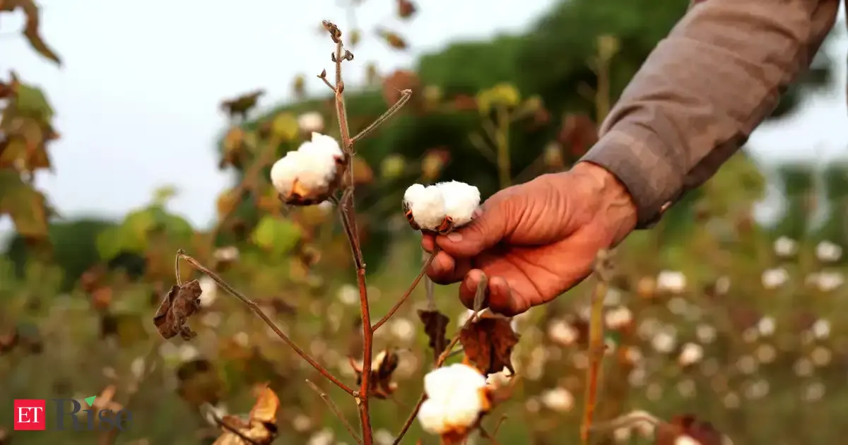 Tamil Nadu seeks duty-free cotton imports to support textile sector: CM Vijay writes to PM