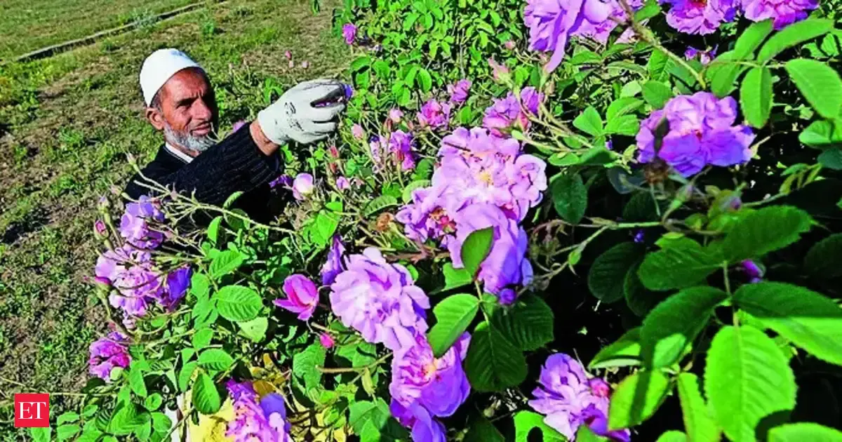 https://img.etimg.com/thumb/msid-131126394,width-1200,height-630,imgsize-114206,overlay-economictimes/articleshow.jpg