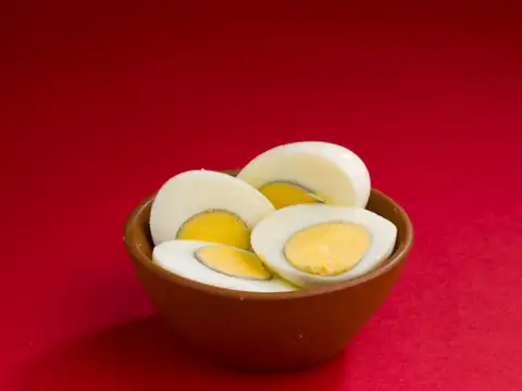 Egg Yolk
