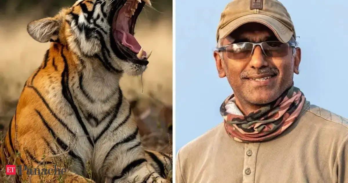'Possibly most beautiful jungle': Award-winning wildlife photographer and investor Sridhar Sivaram reveals a hidden destination wildlife and nature lovers must visit