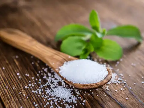 Stevia 
