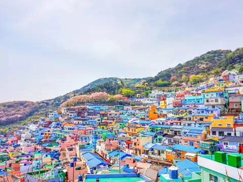 Learn a few Korean words and local etiquette