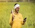 From queues to QR codes: A state in India may have found the fix for India’s fertiliser distribution woes