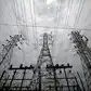 Image for Tata Power, Druk Green ink pact to build