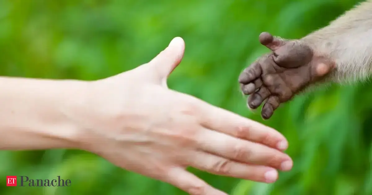 Why are 90% humans right-handed? Scientists finally find a fascinating ...