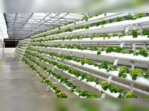 Jain Irrigation Systems