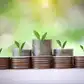 Image for Omaxe raises Rs 75 cr from WSB Partners 