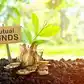 Image for Mirae Asset Midcap among 12 equity mutua