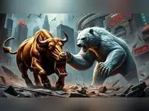 Bull and Bear Market Clash