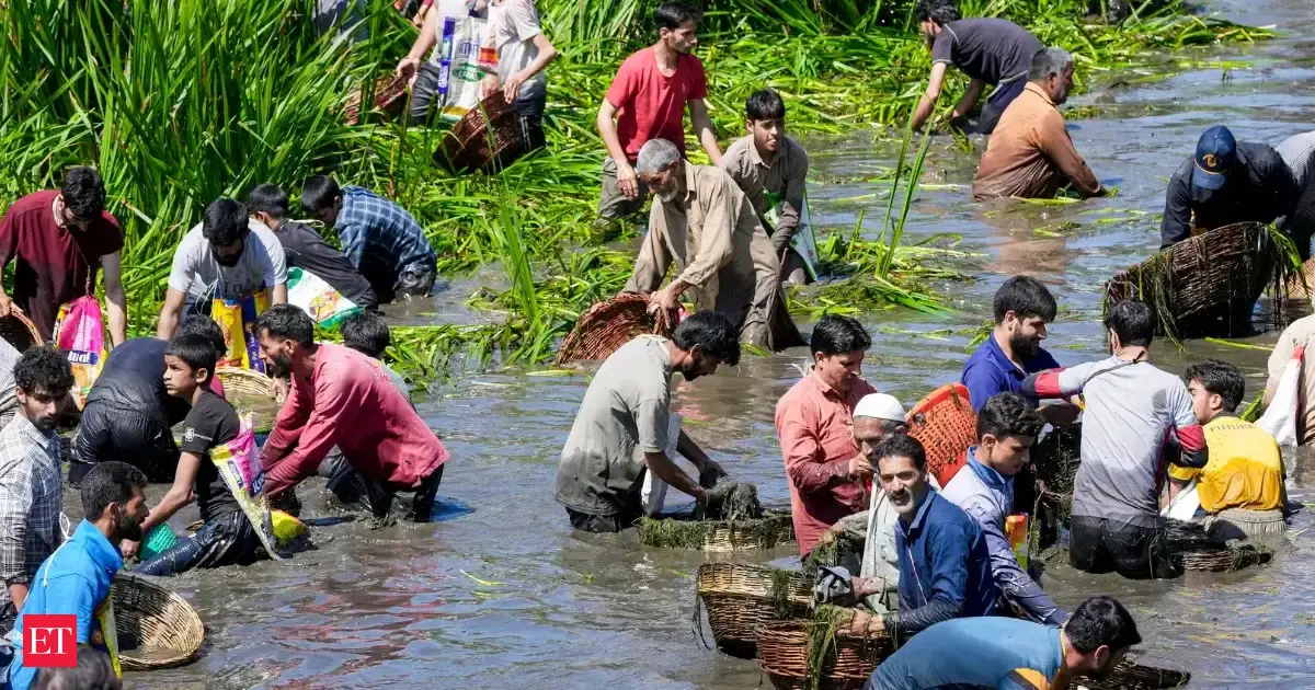400-year-old Panzath festival in Kashmir revives community spirit and river conservation