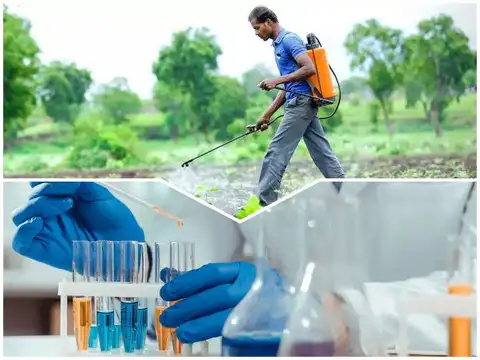 Nuvama on Dhanuka Agritech