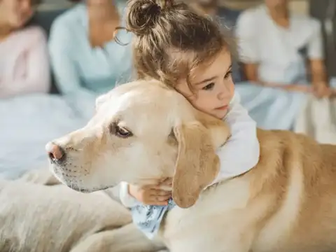 Keep children and pets indoors immediately