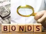 Indian bonds end volatile session lower as rate hike bets rise