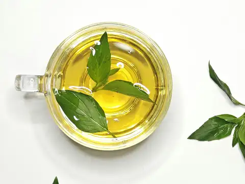 Try peppermint or neem oil spray