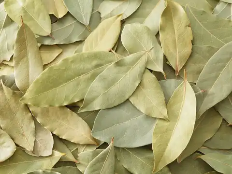 Use bay leaves in cupboards and corners