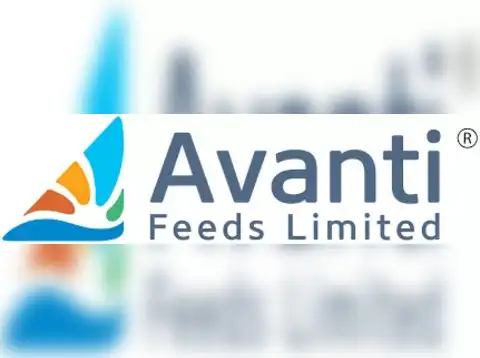 Avanti Feeds