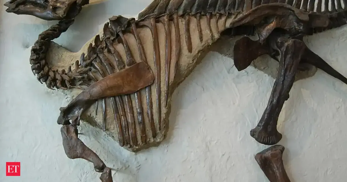 In 2009, a teen on a Utah fossil trip found a skeleton of a baby dinosaur that changed what researchers knew about Parasaurolophus