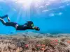 6 best scuba diving destinations in the world