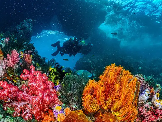 Socorro Islands, Mexico