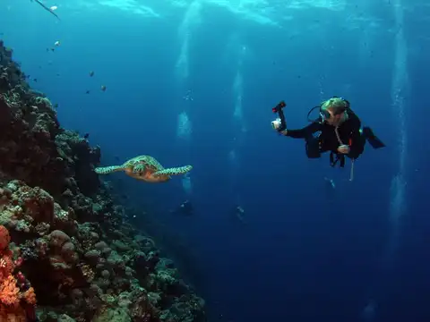 Anilao, Philippines