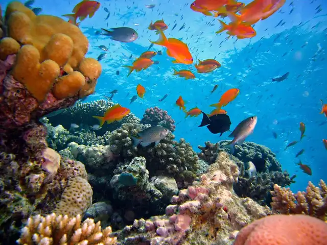 Palau