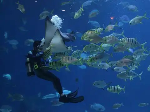Galapagos Islands, Ecuador