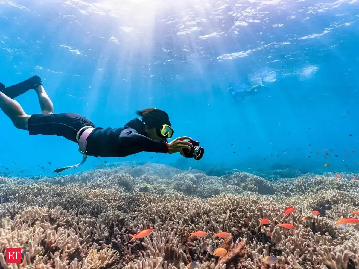 Places offering most unforgettable underwater experiences.