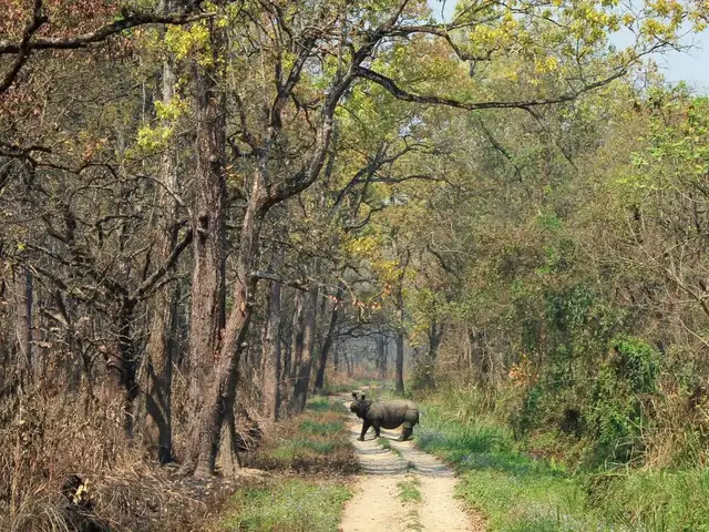 Chitwan National Park