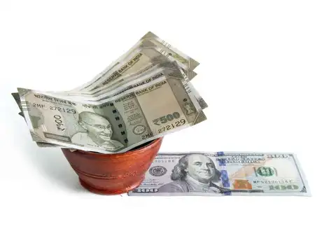 The hidden cost of earning in rupees while living in dollars