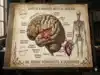 "Love is a Serious mental disease": What Plato really meant and why this 2,000-year-old thought still resonates with millions today