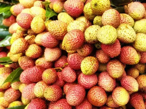 Litchi shake