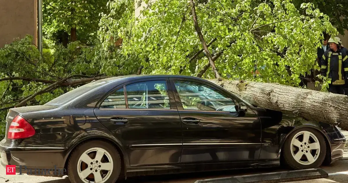 Neighbor Demands Rs 72,000 for Storm Damage: Shade War Escalates