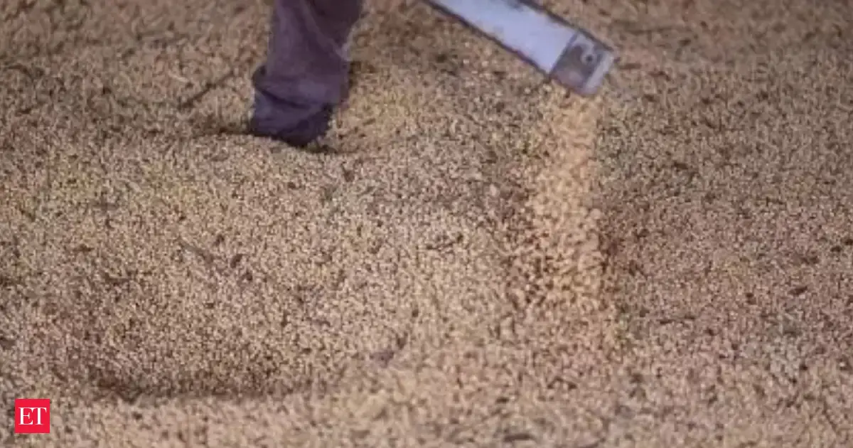 India cancels soymeal export deals, turns to Africa