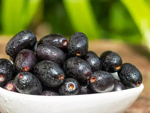 Jamun