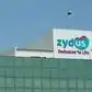 Image for Zydus Lifesciences buyback alert! Last d