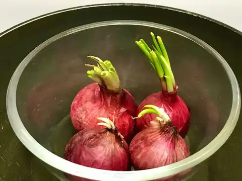 Don&rsquo;t keep onions near the stove