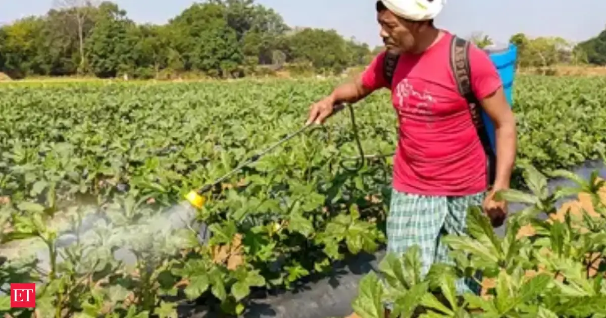 India races to secure fertilisers as crucial sowing season approaches amid war disruptions