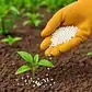Image for India issues tender for 1.7 mn tonnes of