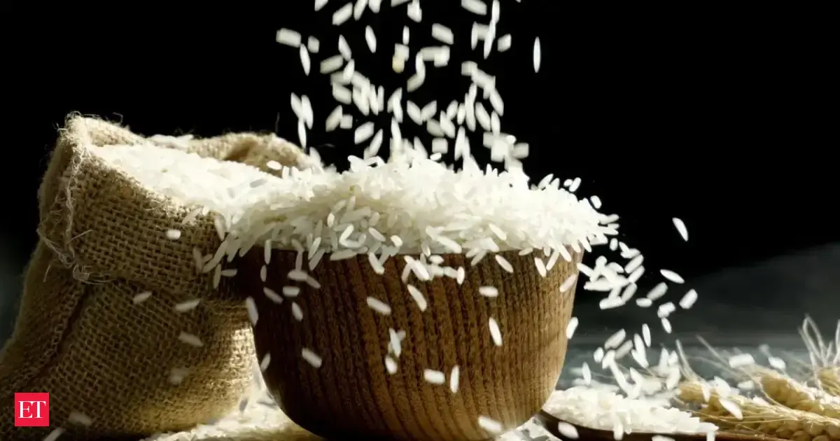 Too hot to handle: Heatwave in North India slows textile, rice supply chains