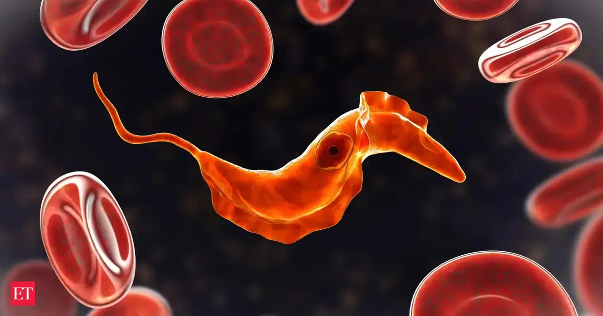 How your blood formed? Scientists say ancient 700-million-year-old single-celled ancestors may still live inside human blood