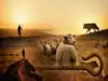 African proverb of the day: 'The sheep will spend its entire life fearing the wolf, only to be eaten by the...' - life lessons on dark side of blind trust, hidden risks and why the real danger may not be the enemy you fear most