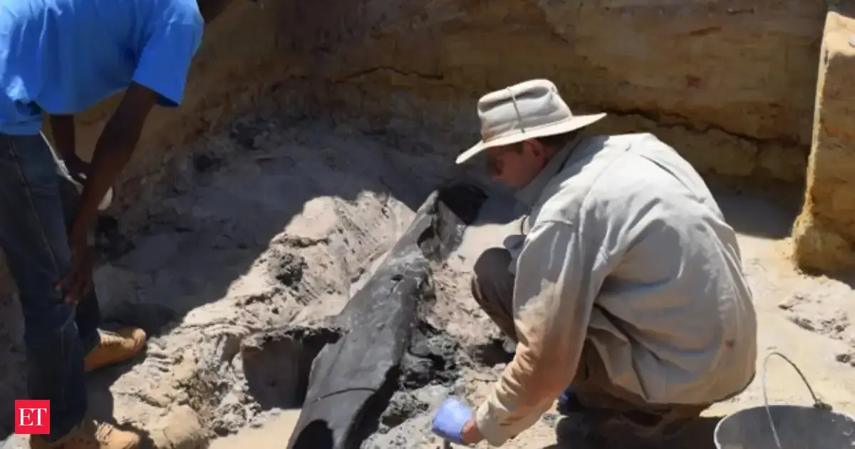 Scientists found ancient logs locked together, and it changed the story of early humans