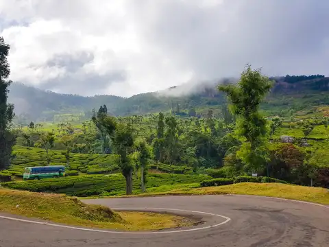 Ooty, Tamil Nadu: Ride through the Nilgiri hills