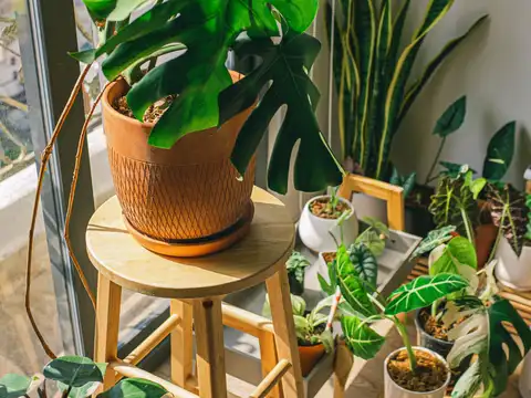 Add indoor plants and cooling fabrics